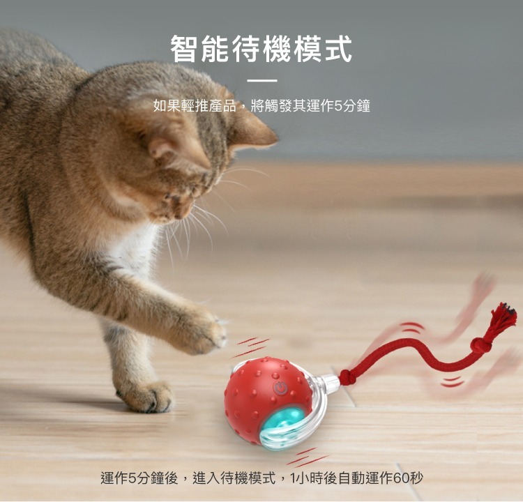 BENTOPAL 邦特普｜LED智能逗逗球|貓玩具