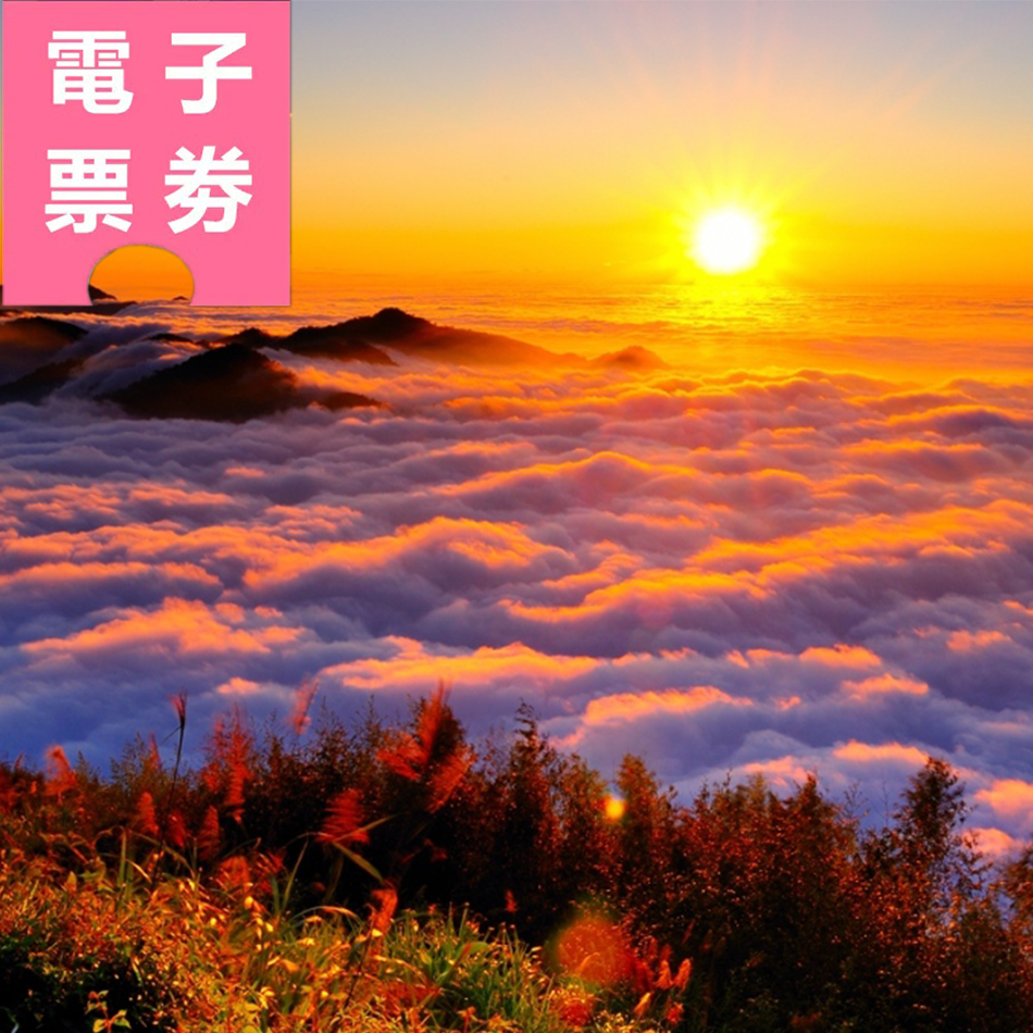 【電子票劵】嘉義｜阿里山國家森林遊樂區門票+電動遊園車+奮起湖鐵路便當 Ⓕ