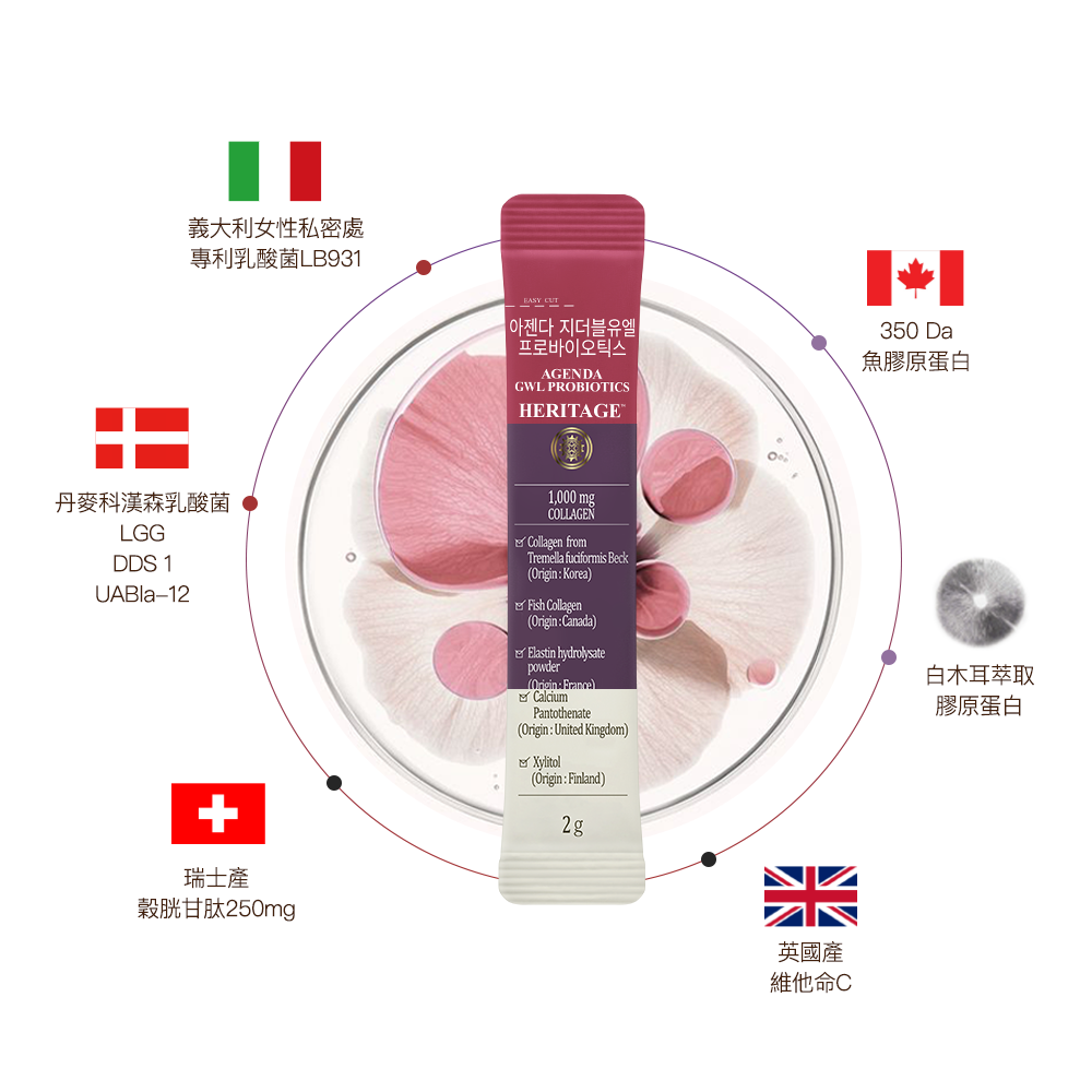 【三效滋養 三入燙金禮盒】穀胱甘肽+膠原蛋白+女性益生菌