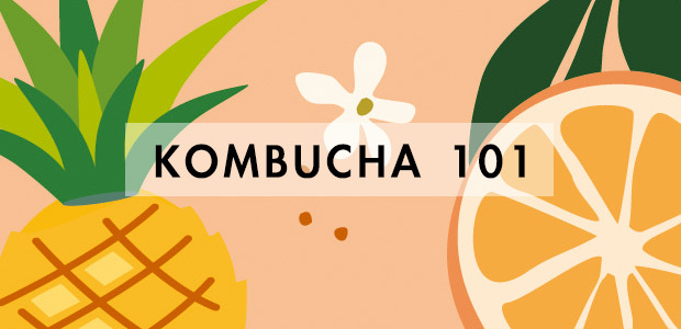 KOMBUCHA101_關於康普茶