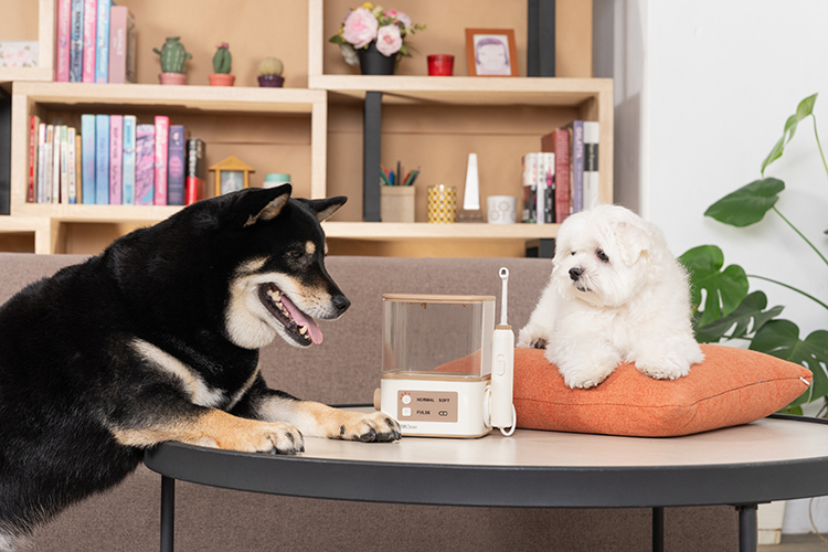 <福利品>PET100 寵物All in One潔牙機