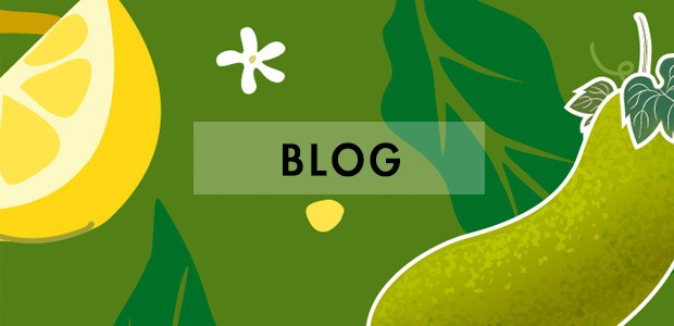 KOMBUCHA_BLOG_康普茶部落格