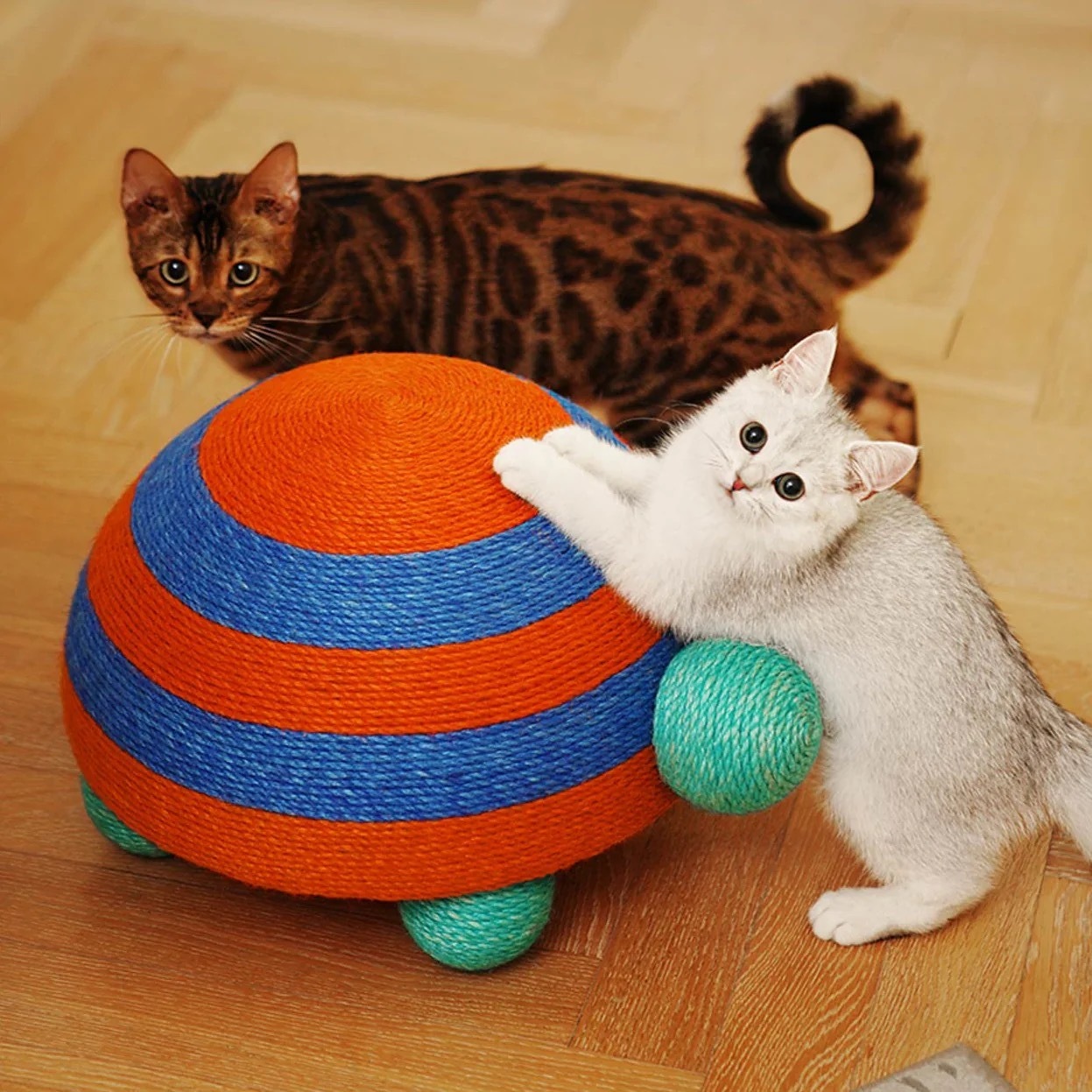 氣球藝術貓抓架-條紋龜（單箱裝出貨，請單獨下單）