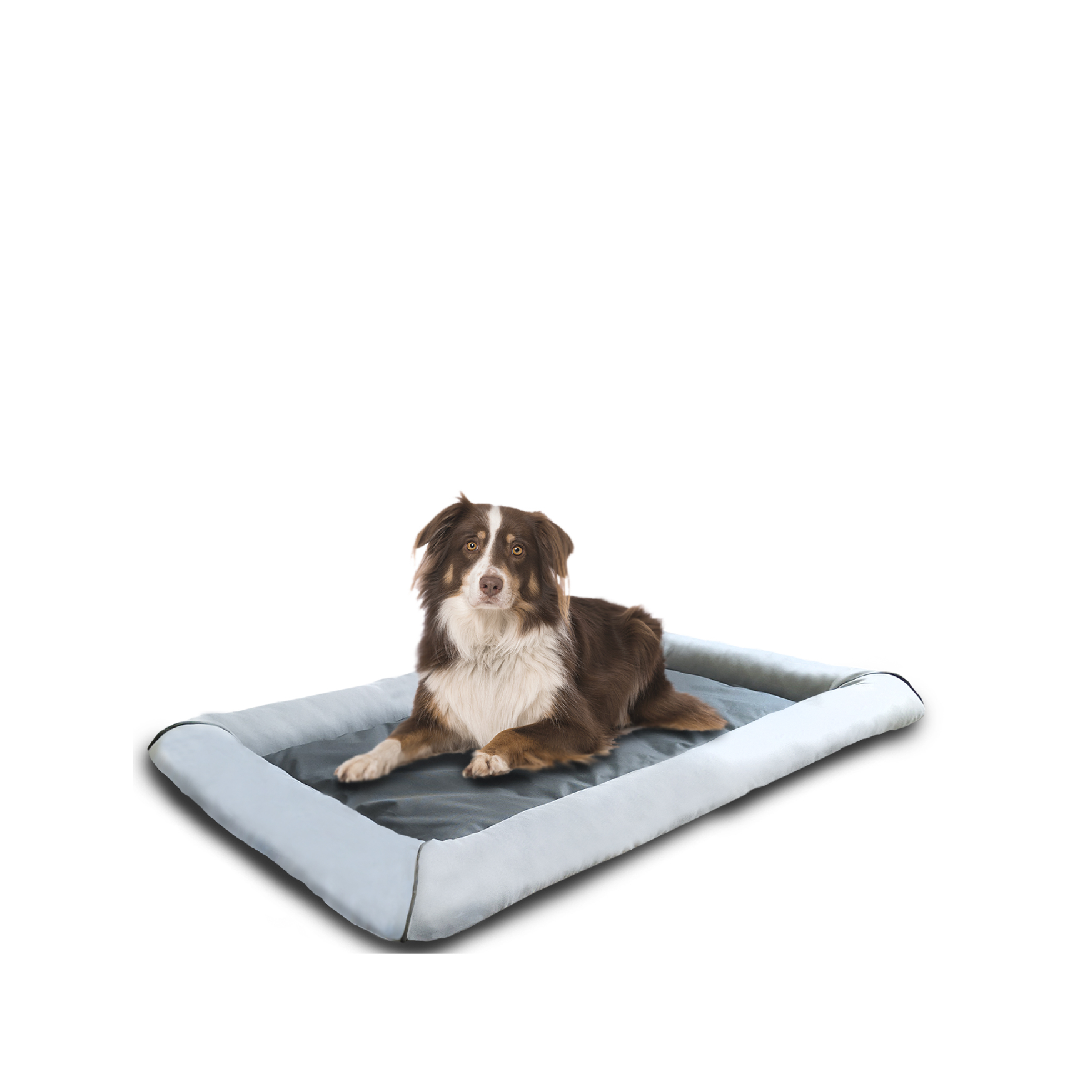 【Ni Pet】寵物冬夏兩用床墊