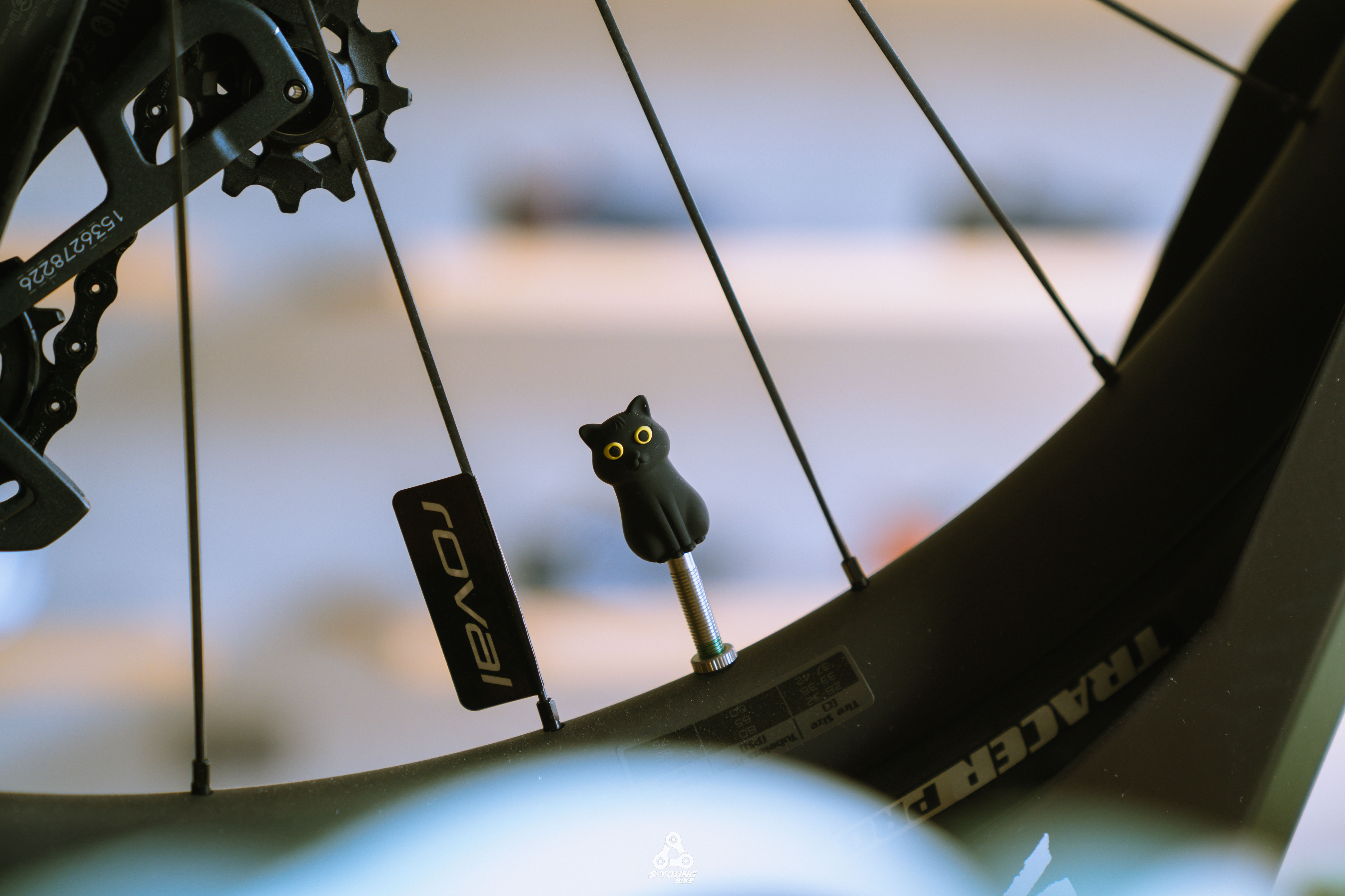 【Bone】超可愛動物矽膠氣嘴塞 - 喵喵貓 Miao Cat / 2入一對