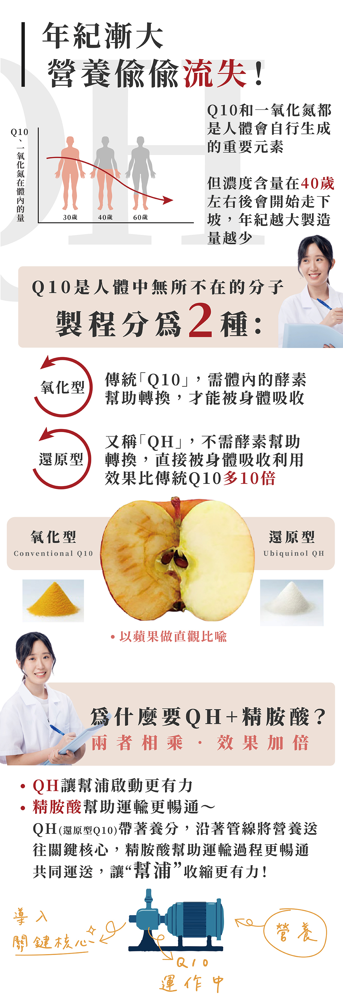 <img src="輔酶Q10是什麼.jpg" alt=" 輔酶Q10和一氧化氮是人體自行生成，濃度含量在40歲以後大量流失。還原型輔酶QH比氧化型輔酶Q10效果多10倍">