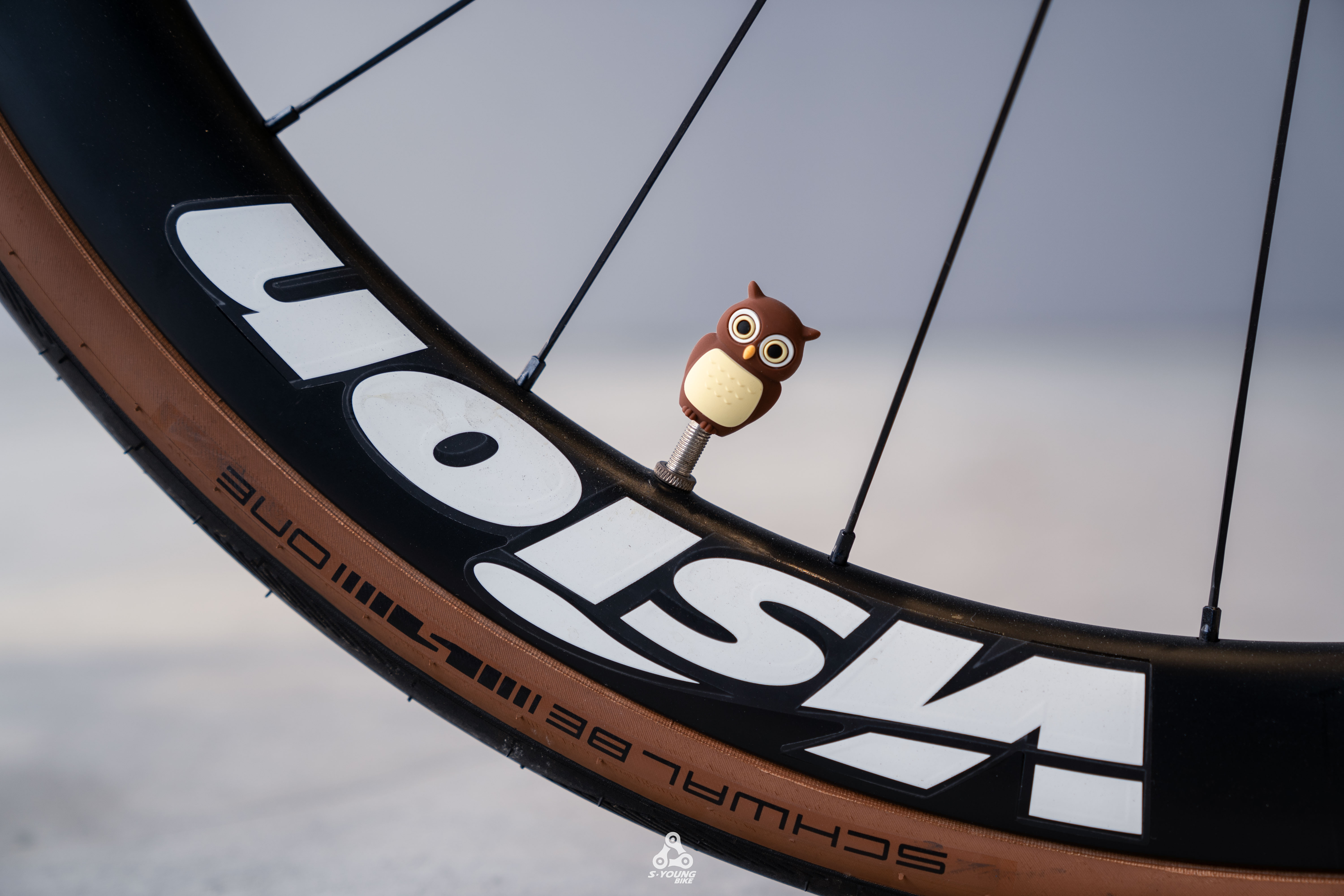 【Bone】超可愛動物矽膠氣嘴塞 - 貓頭鷹衛斯 Owl Wes / 2入一對