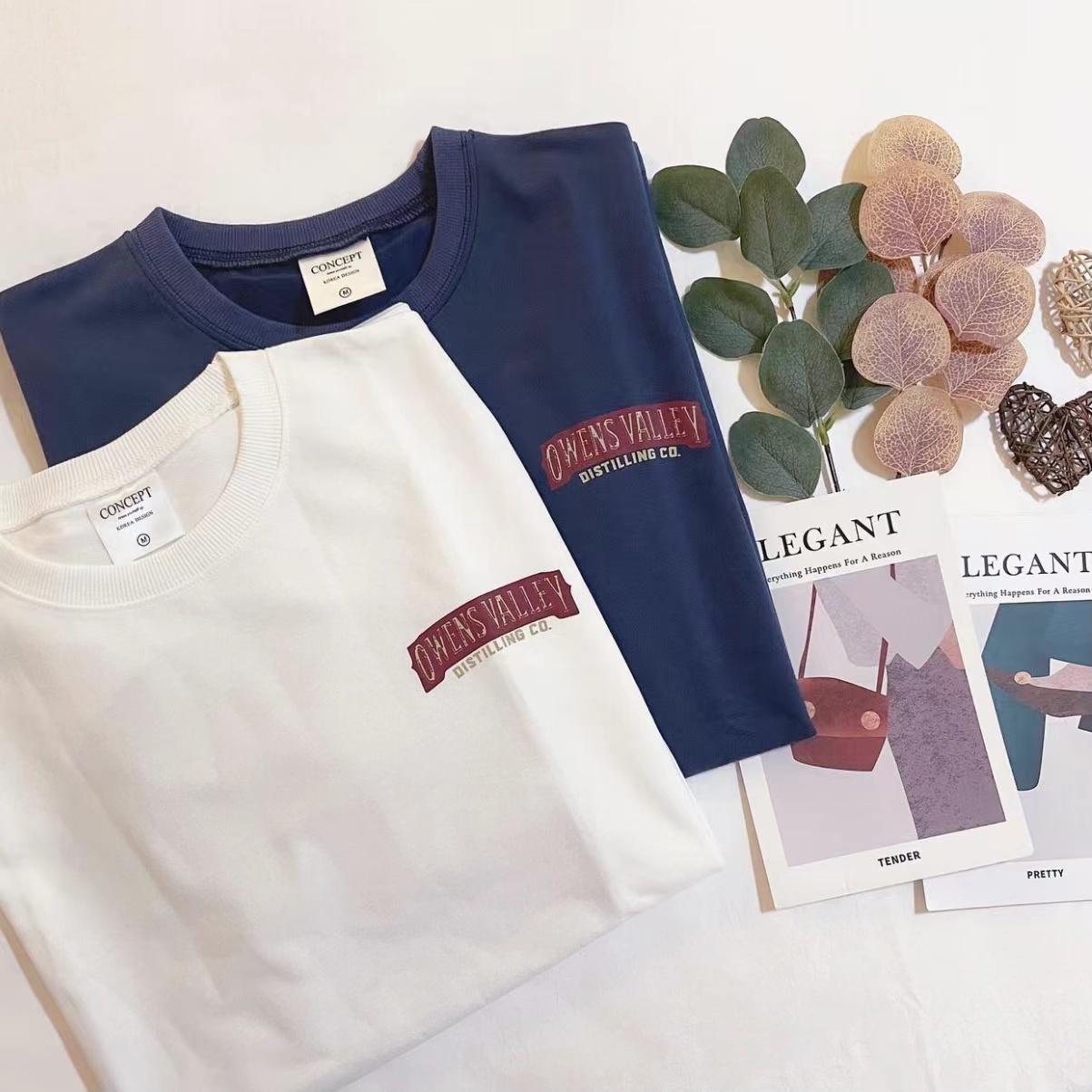 🇹🇼台灣代購款OWENS VALLEY BACK PRINT TEE