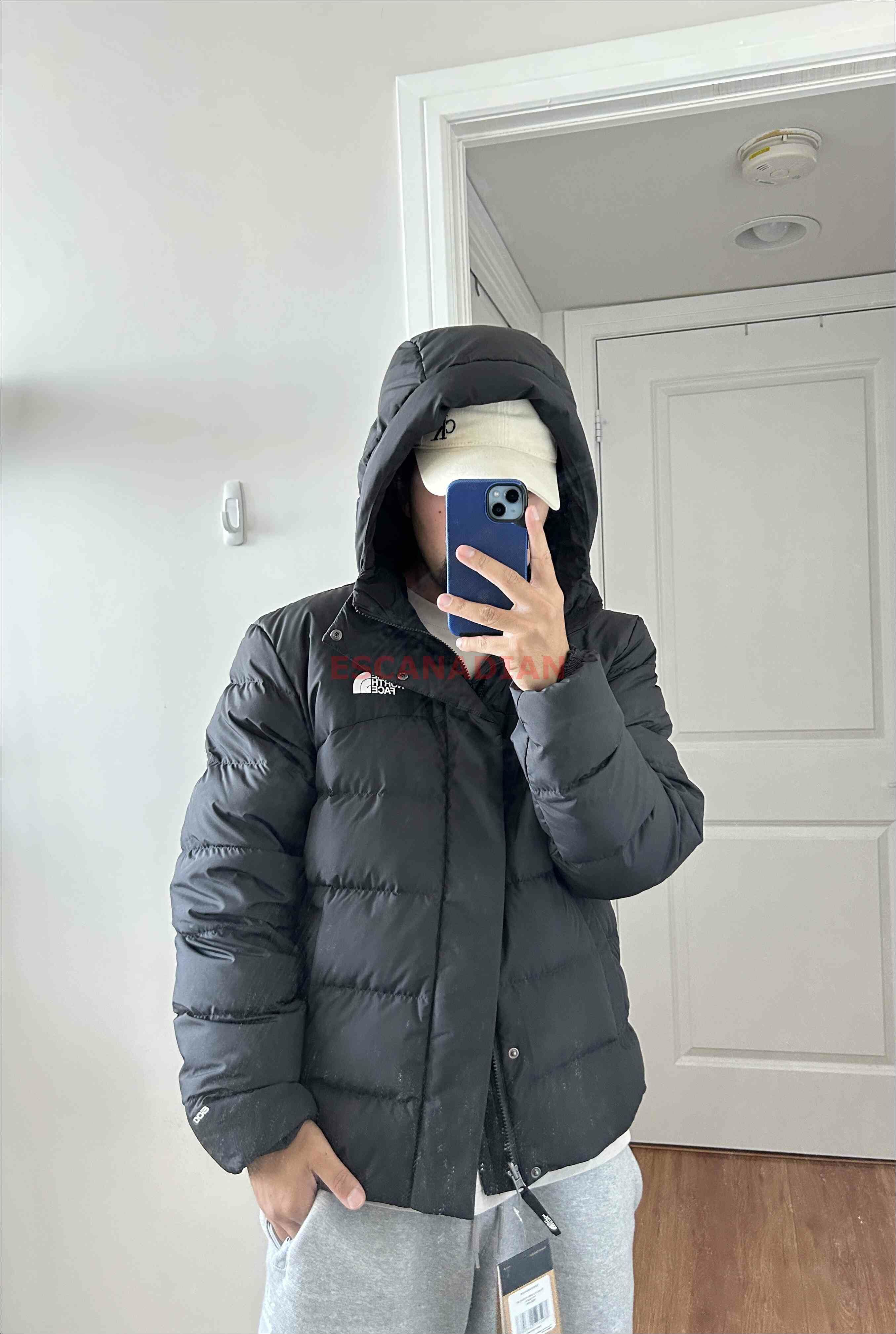 THE NORTH FACE 男大人 Baltic Puffer系列 防潑水 600蓬鬆羽絨 連帽外套