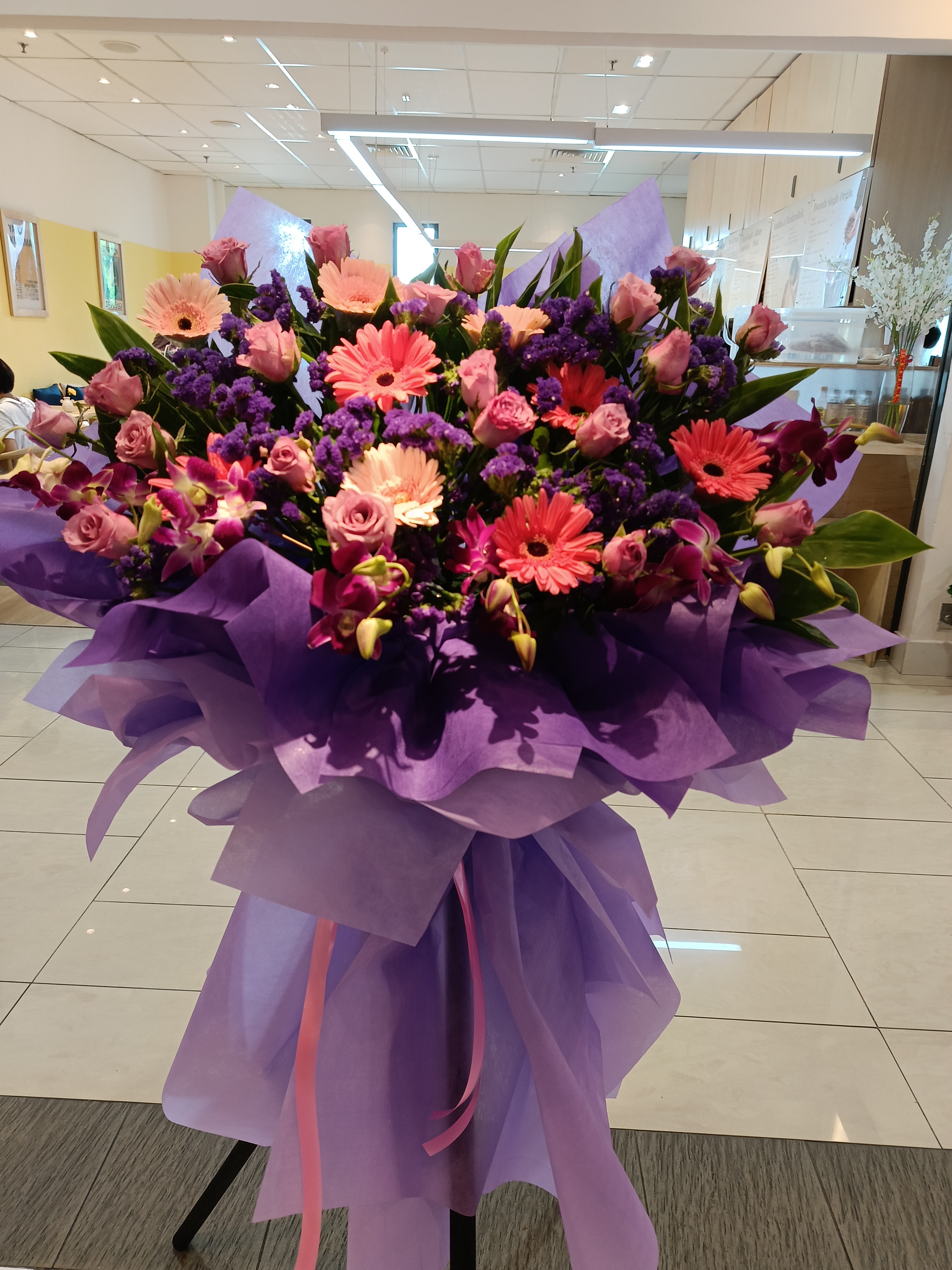 Grand Opening - GO48