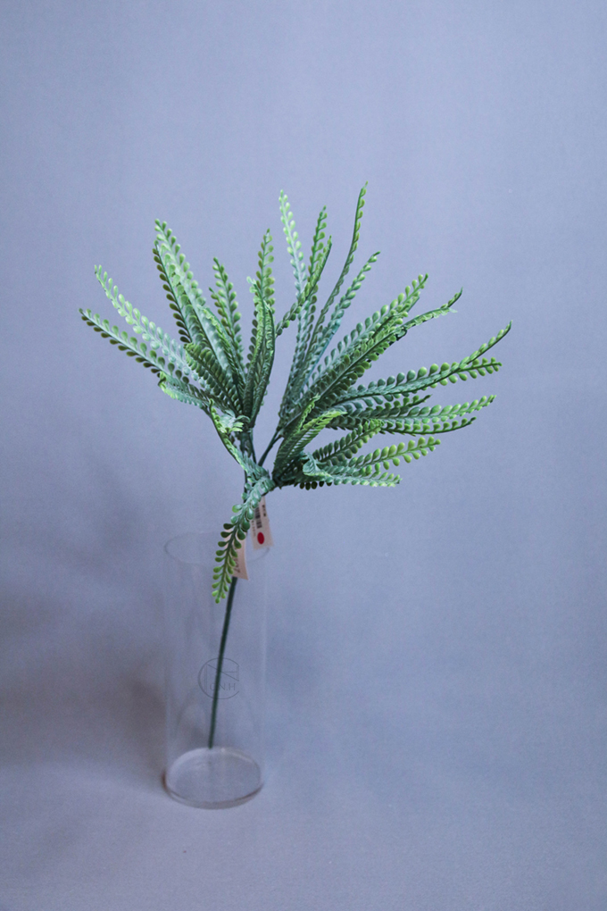 人造葉 鈕扣蕨