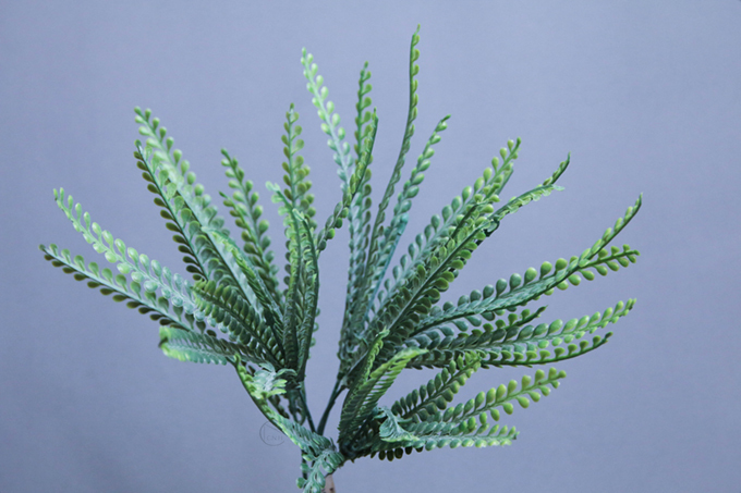 人造葉 鈕扣蕨