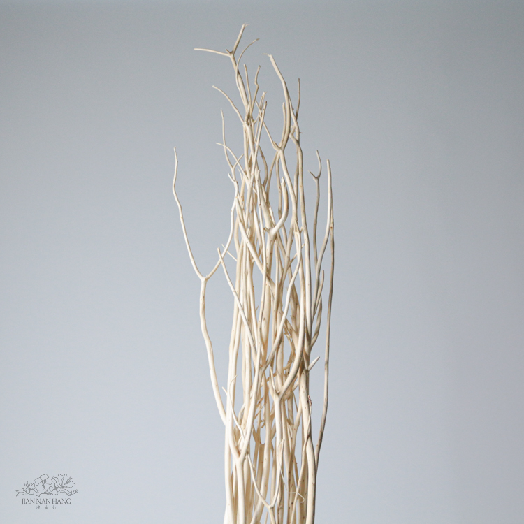 天然素材 白木枝