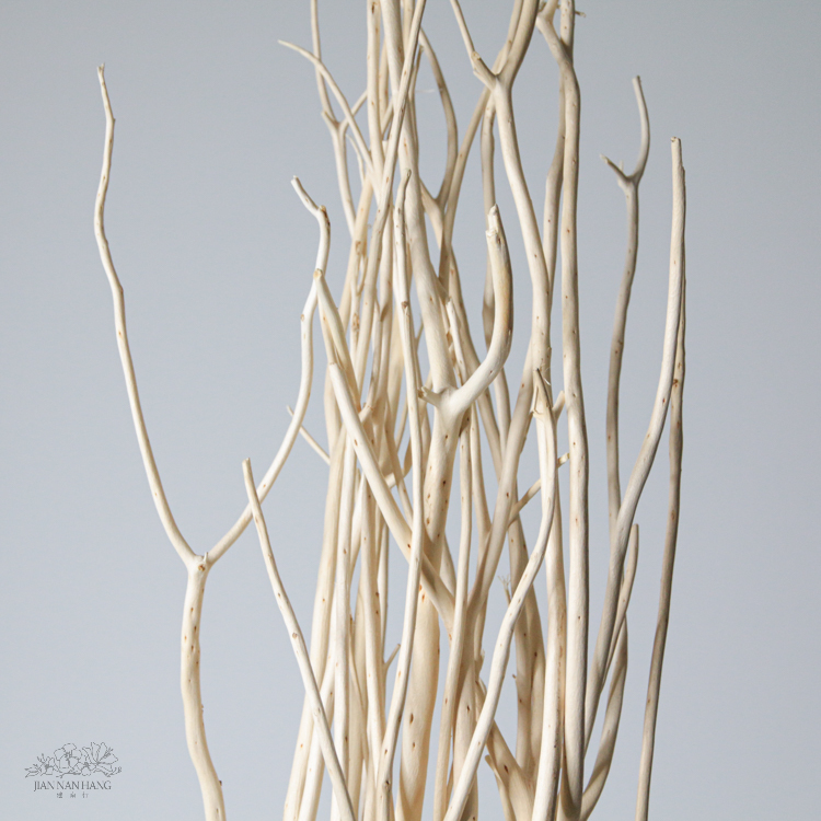 天然素材 白木枝