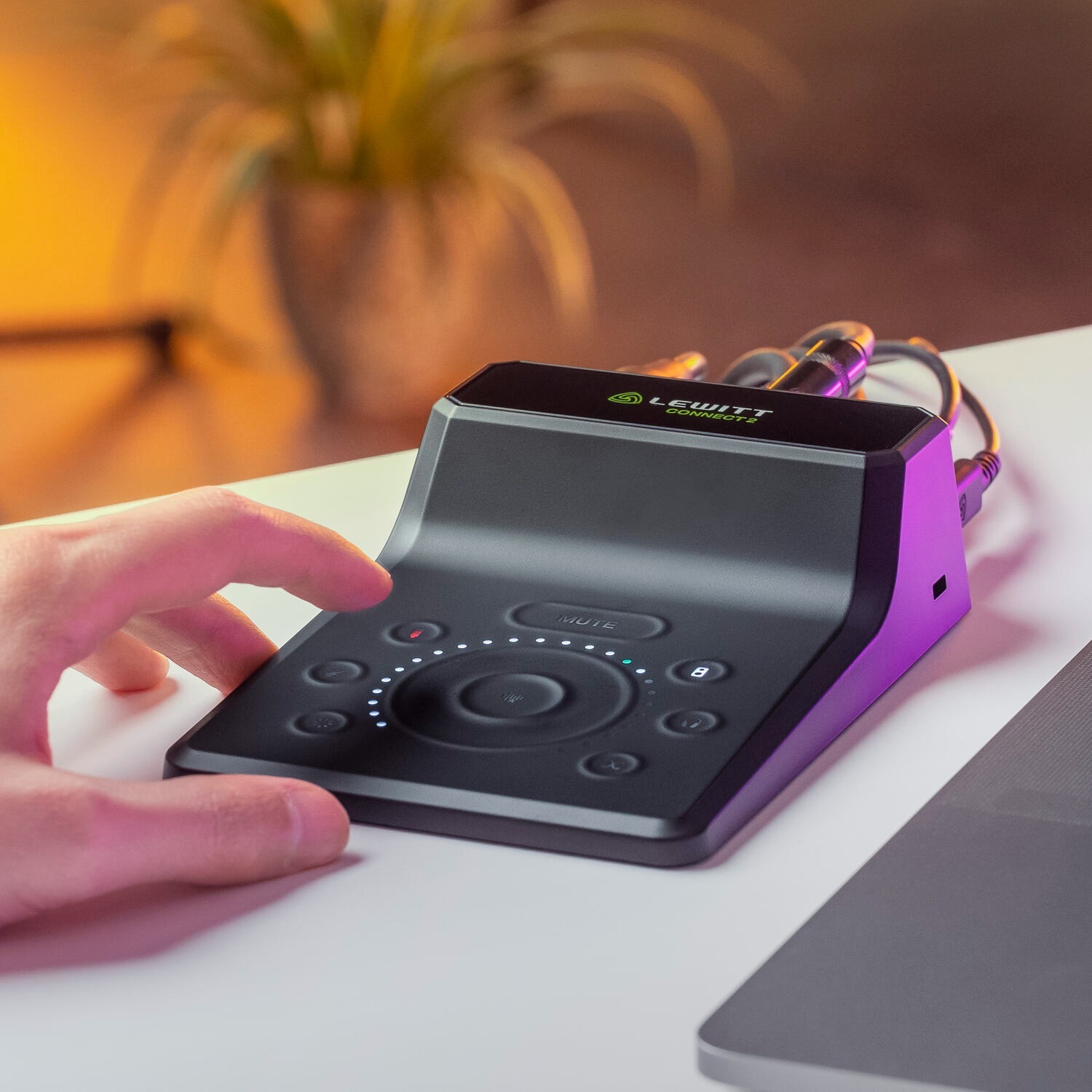 Lewitt Lewitt Connect 2 錄音介面 第 5 張圖片｜三峽麥克風