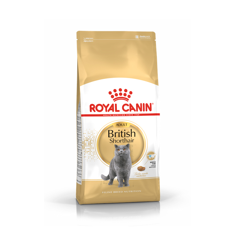 法國皇家 Royal Canin 英國短毛貓配方 bsh ( 2kg /4kg / 10kg )