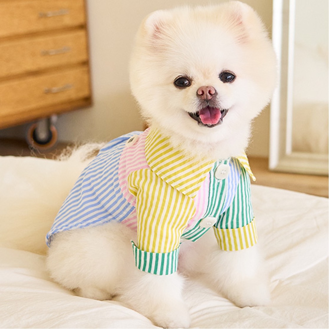 Noutti 彩色條紋拼接長袖襯衫