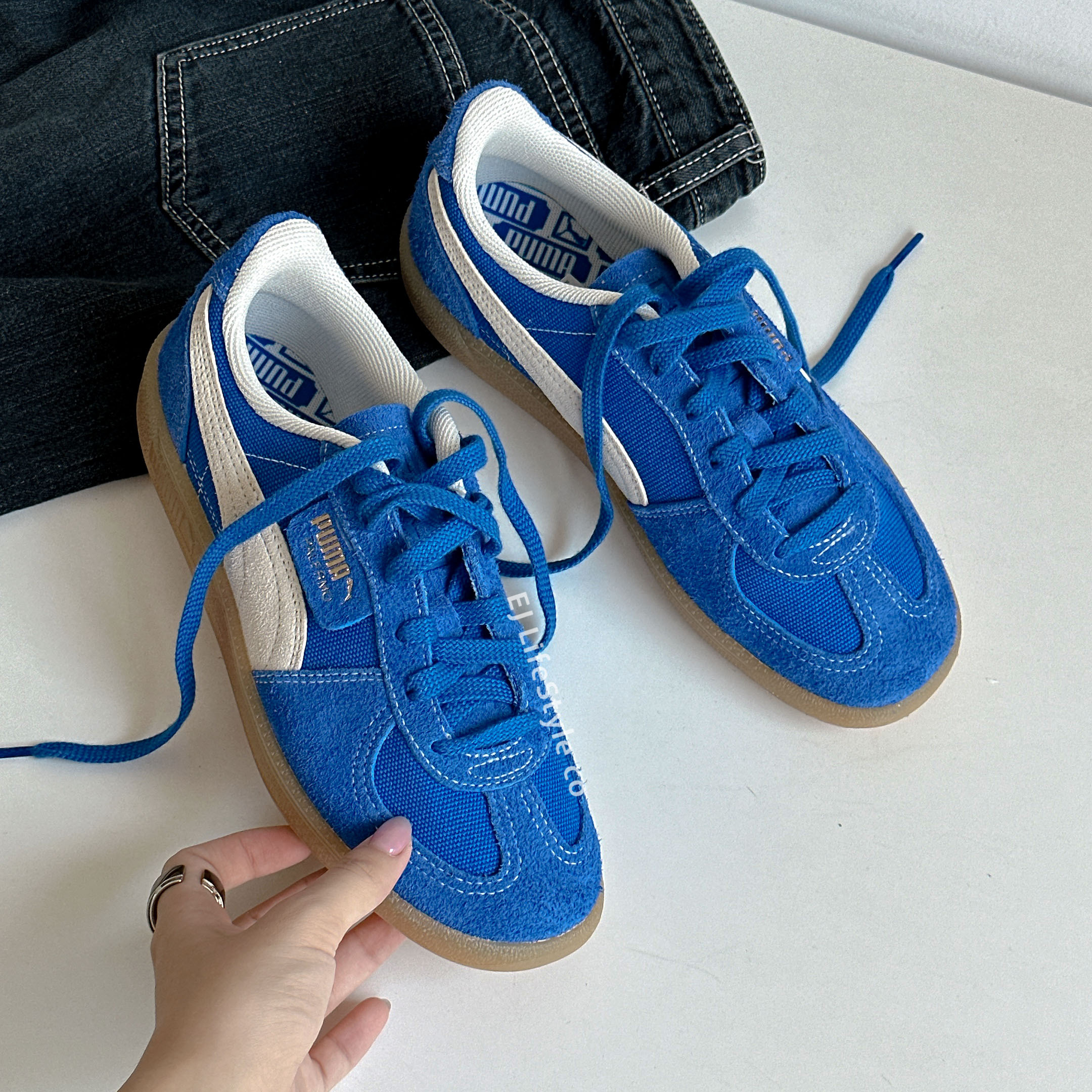 PUMA PALERMO VINTAGE 德訓鞋 Rosé代言同款 朴彩英 復古 藍色 麂皮 男女鞋 396841-01 / 調貨