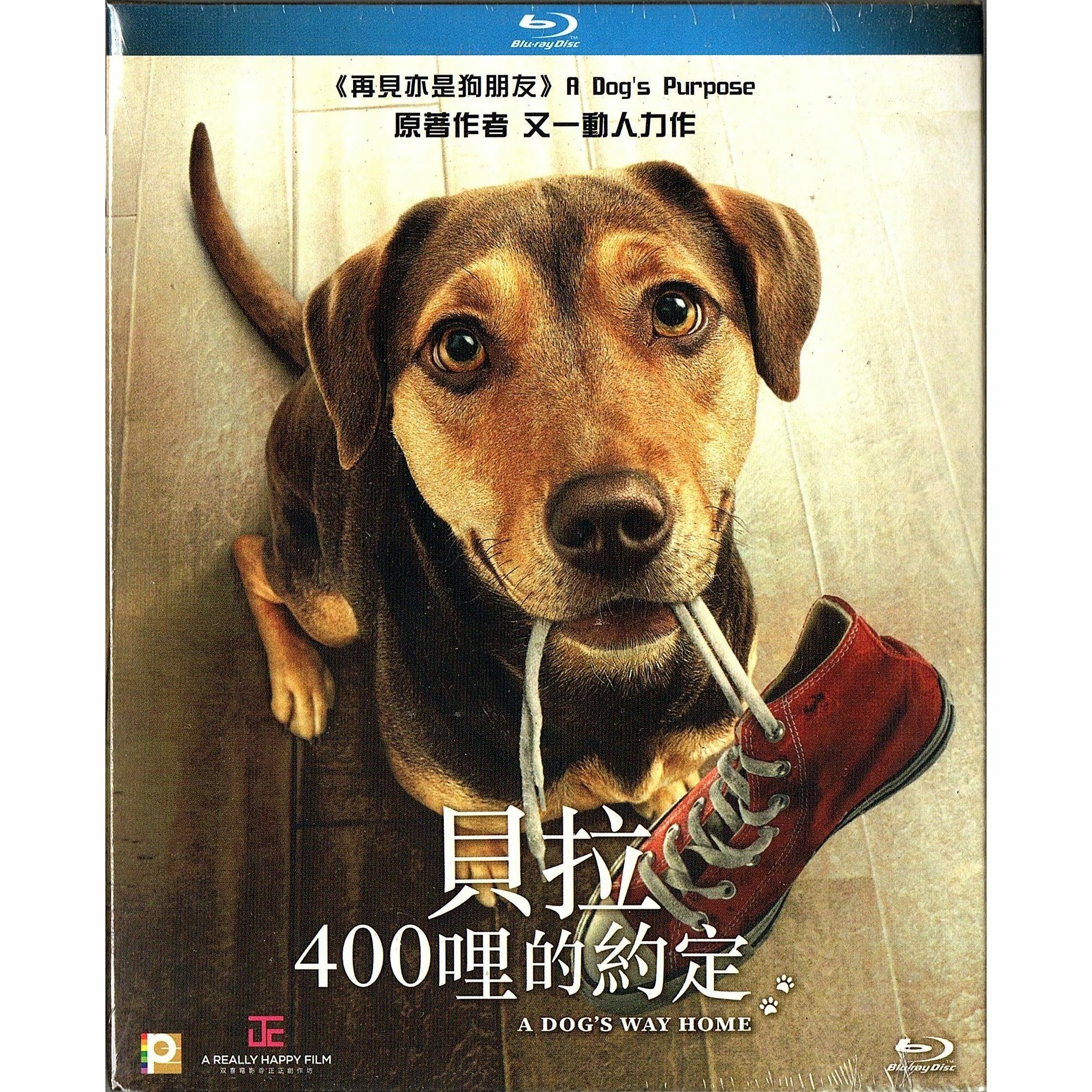 貝拉400哩的約定 (Blu-ray)