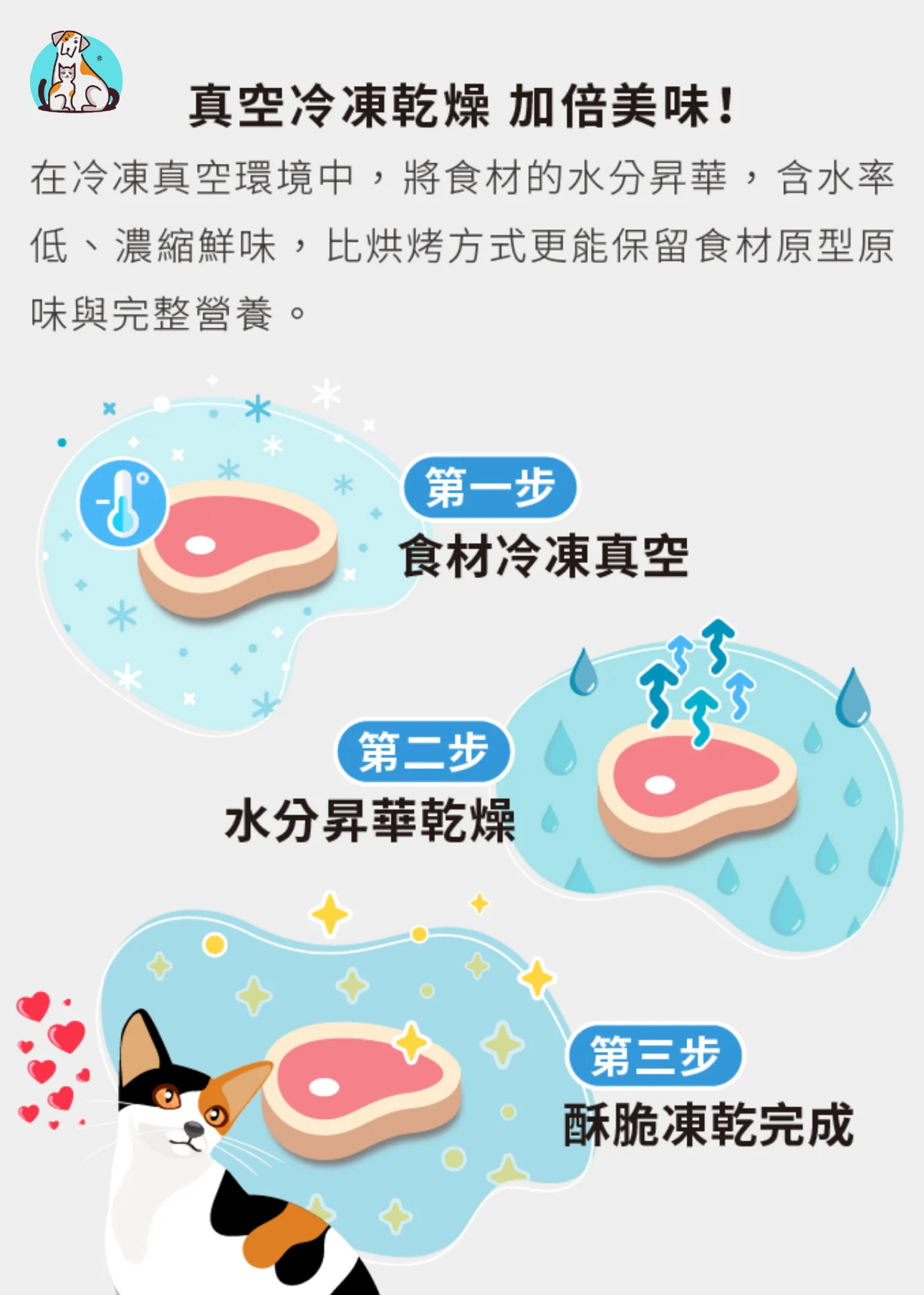 DCdogcatsnack 泰國鴨肉凍乾塊 60g (貓狗食用）