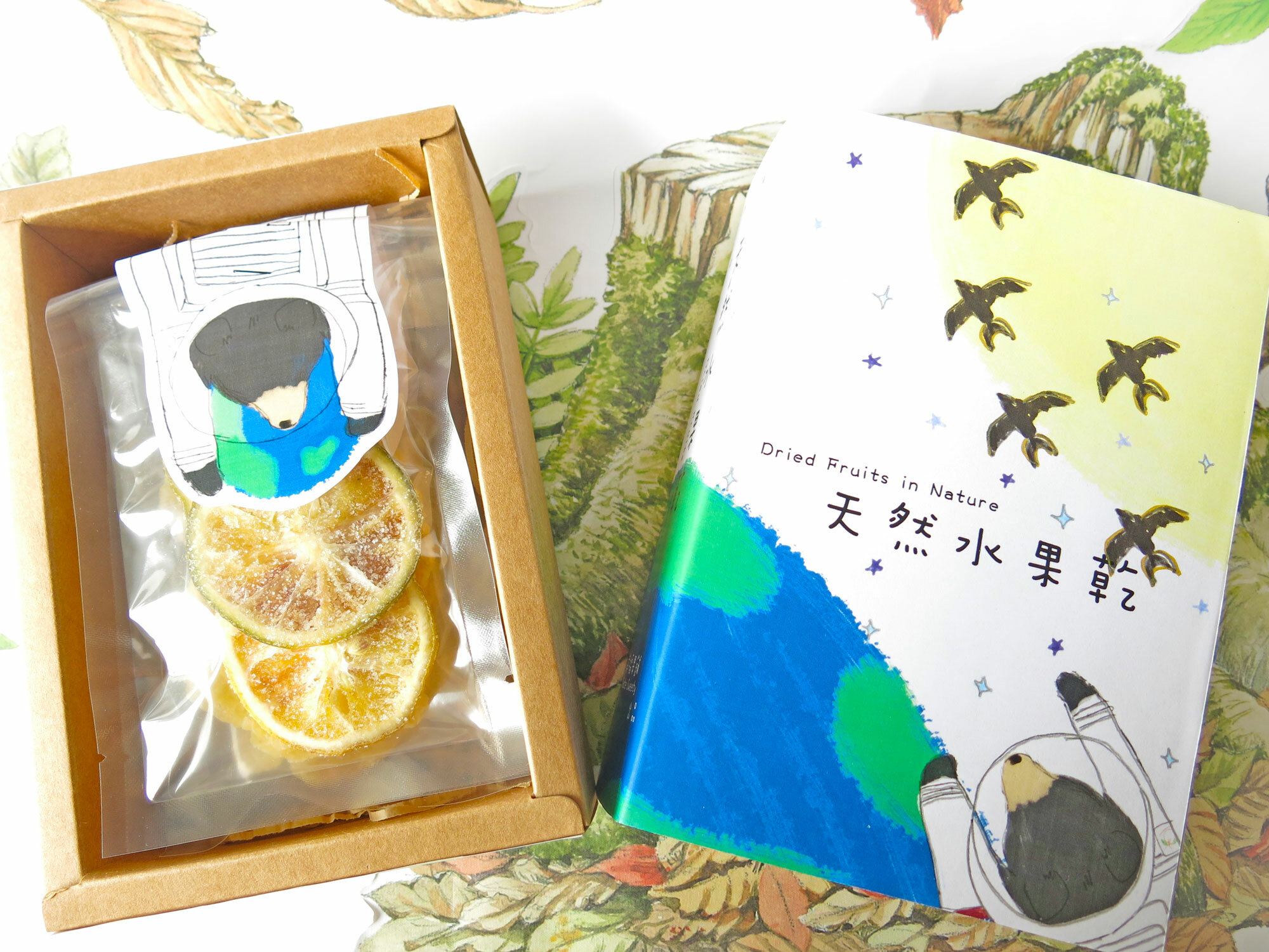 太空熊造型書水果乾小禮盒5入