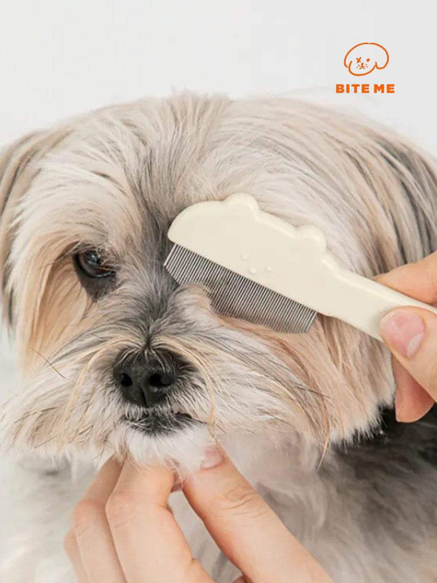 【韓國 BiteMe】梳梳臉