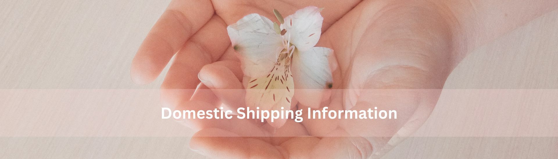 Crystal Herbs Flower Essences Taiwan Domestic Shipping