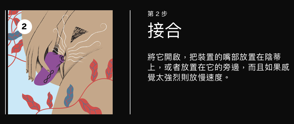 LELO SONA 2 Cruise 聲波震動按摩器