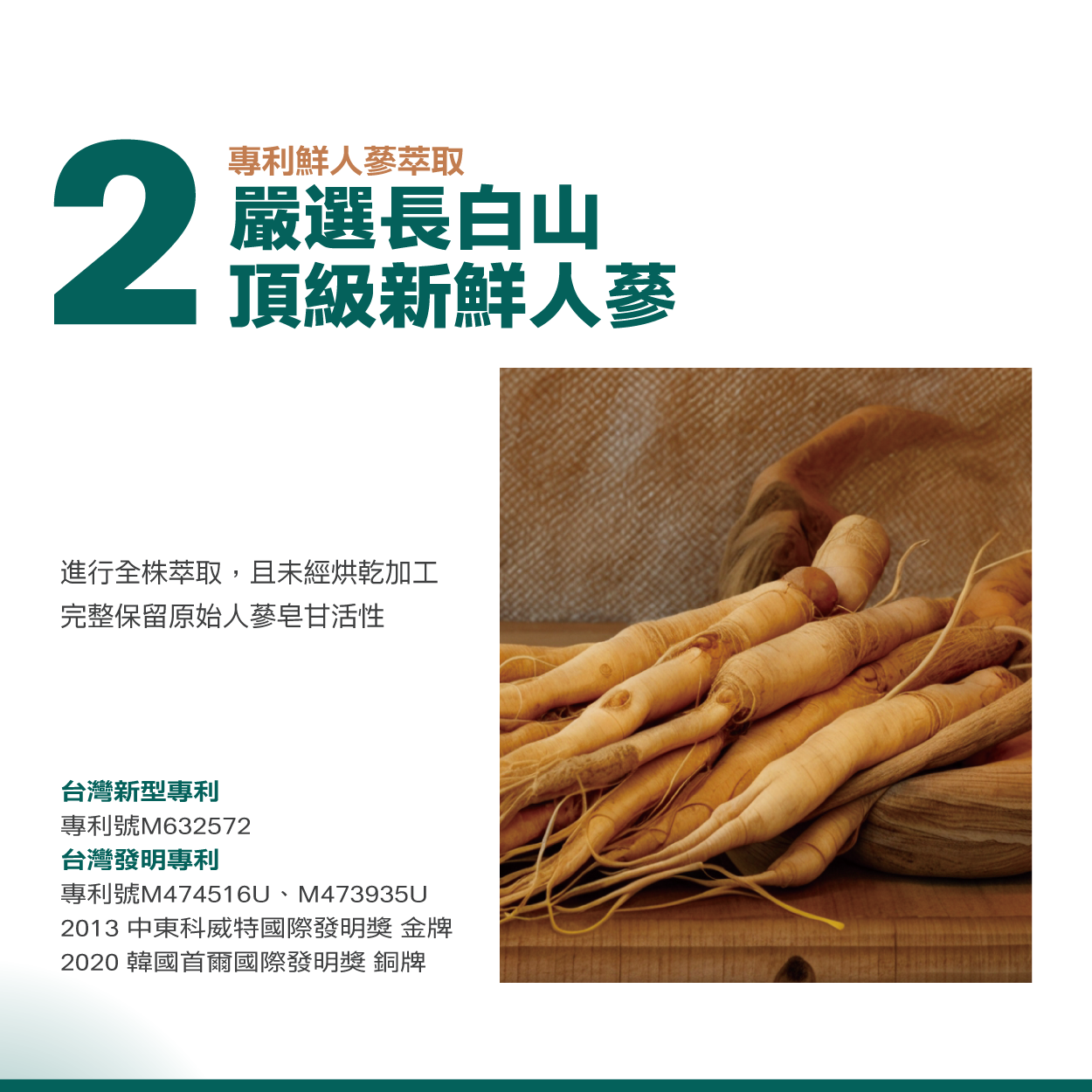 嚴選長白山頂級新鮮人蔘