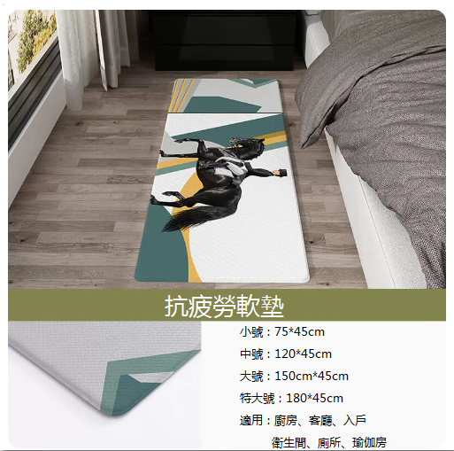 新款加厚家用地毯（018加厚（小號）75*45cm）