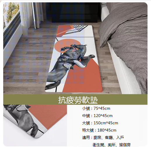 新款加厚家用地毯（019加厚（大號）150*45cm）