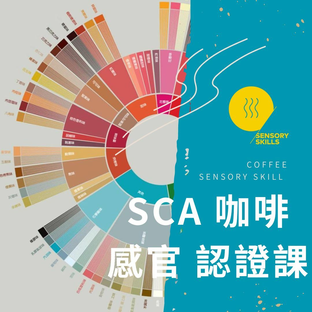 SCA 認證課程 ─ 感官認證課
