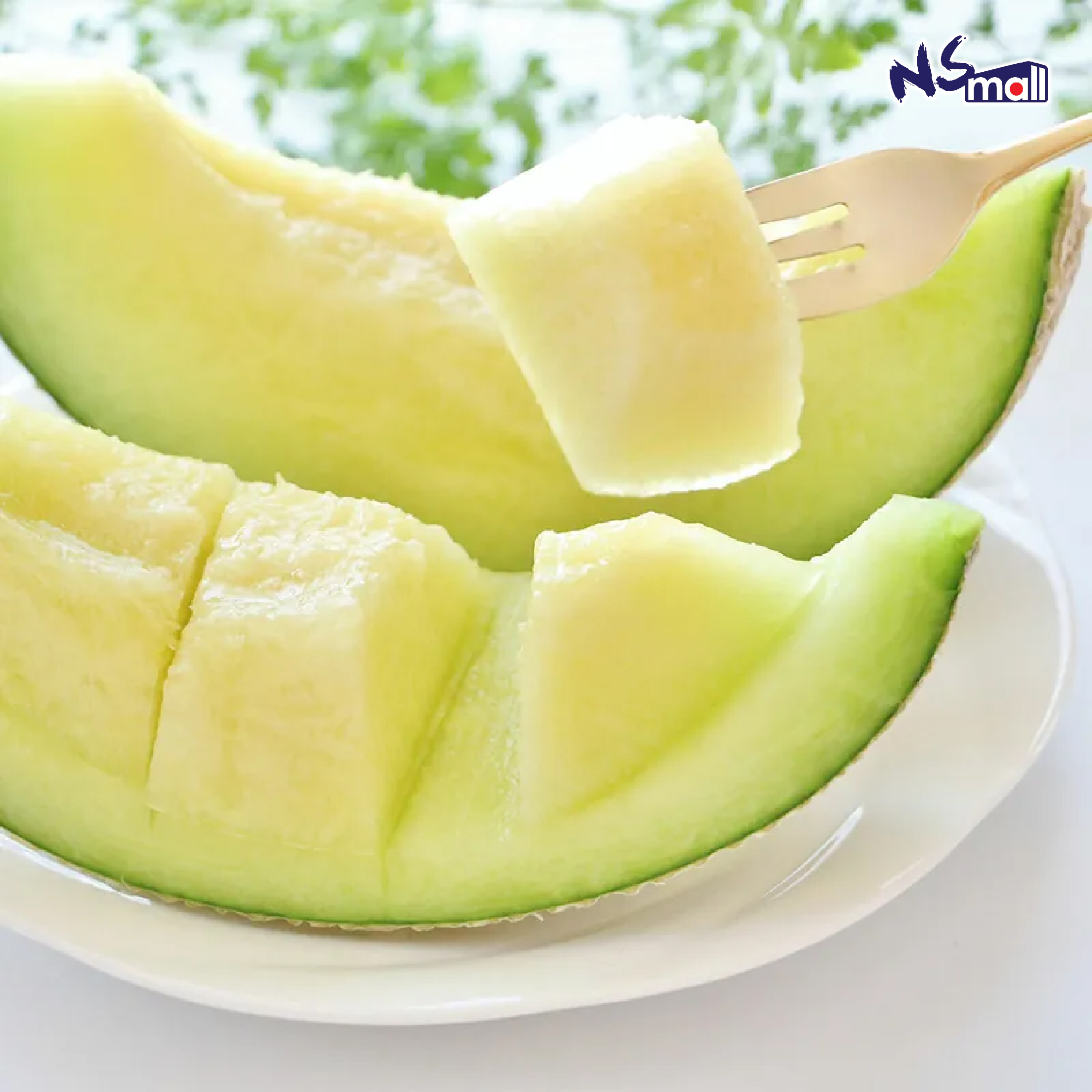 靜岡皇冠蜜瓜 A印 單個/原箱9kg 6玉