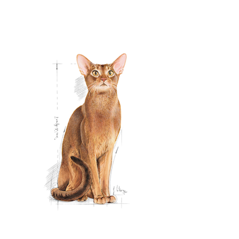 法國皇家 Royal Canin 超級營養配方 EXP 2kg/4kg
