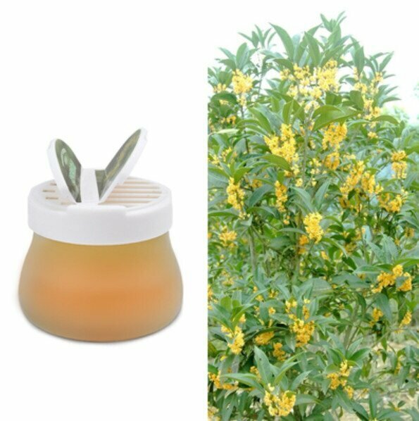 Hot selling car solid aromatherapy (rainbow balm (osmanthus) in a bottle)