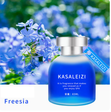 Hot-selling aromatherapy car high-end long-lasting light fragrance deodorizing and deodorizing refill liquid ornaments (Freesia)