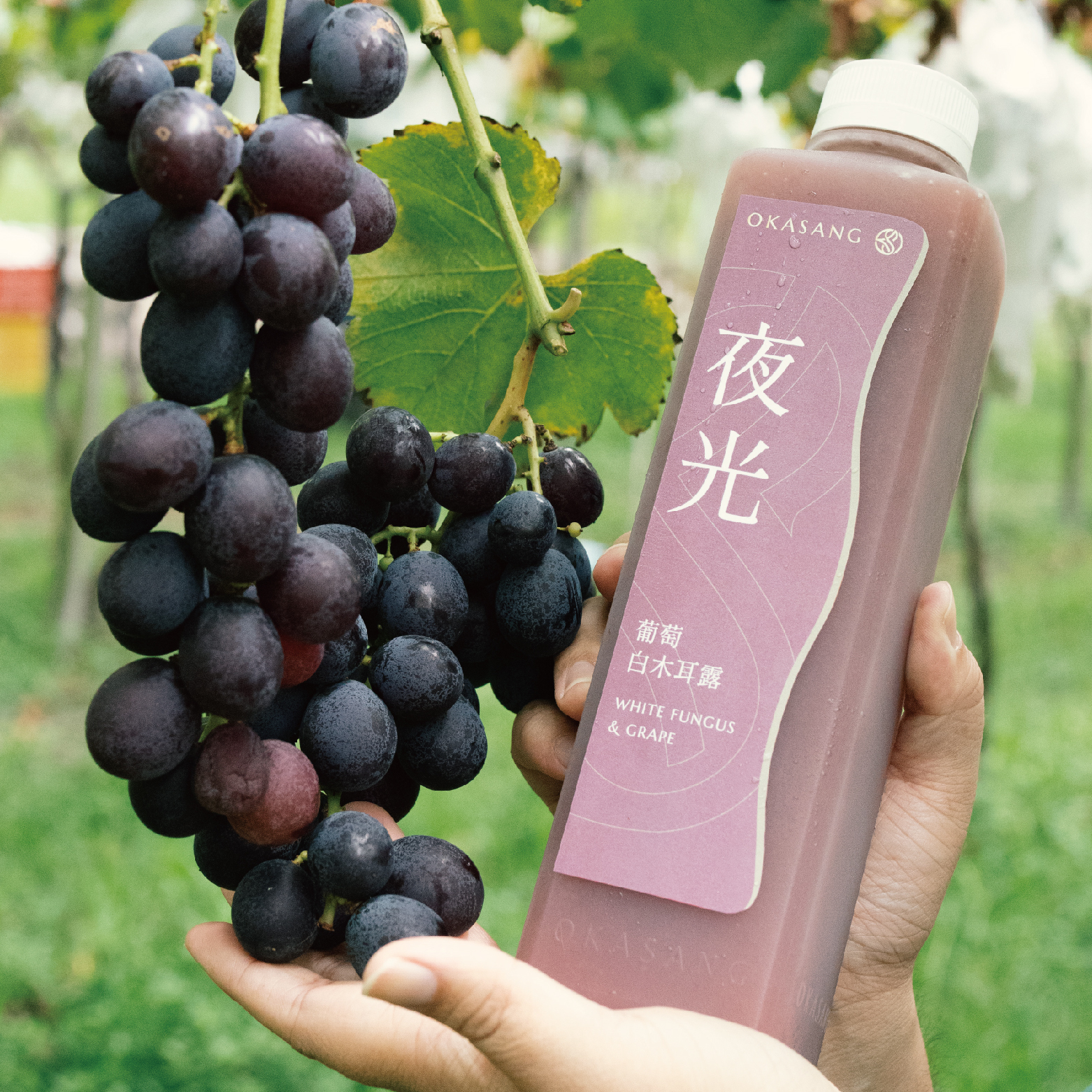 葡萄白木耳露｜夜光｜果汁感酸甜限定｜1000ml*1