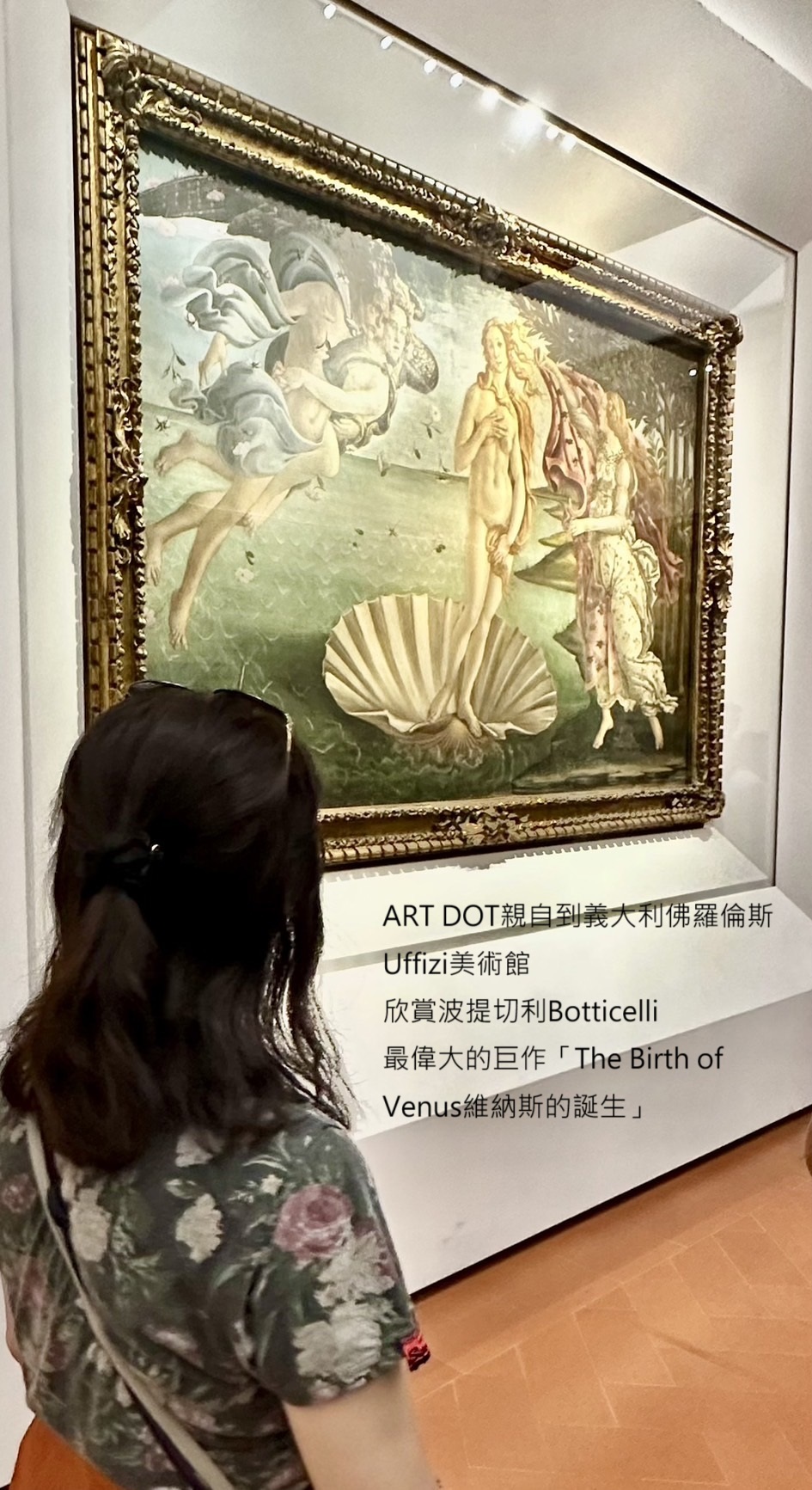 世界名畫系列_維納斯的誕生丨六月丨白月光紅膠花水晶