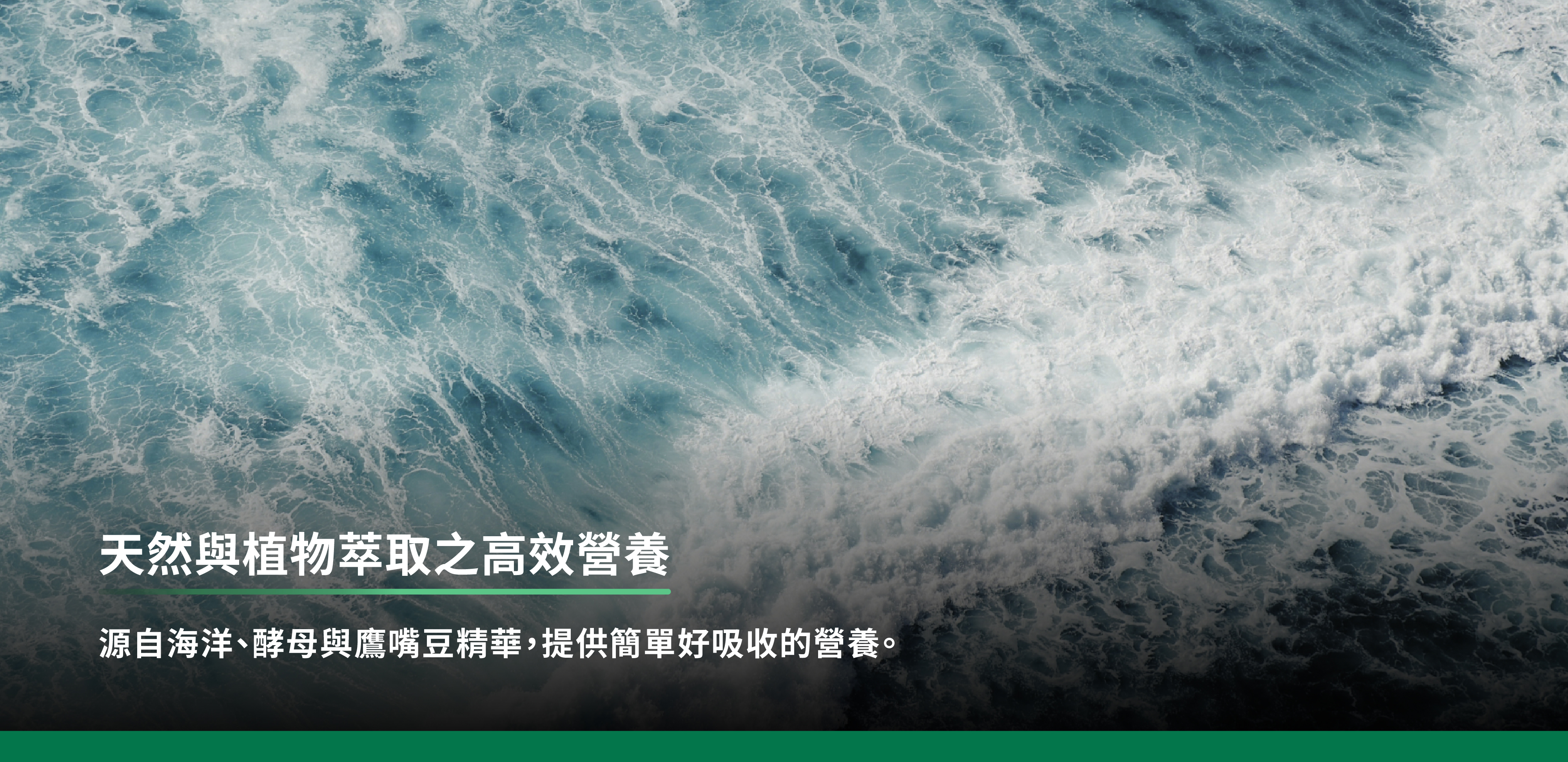 源自海洋、酵母與鷹嘴豆精華,提供簡單好吸收的營養