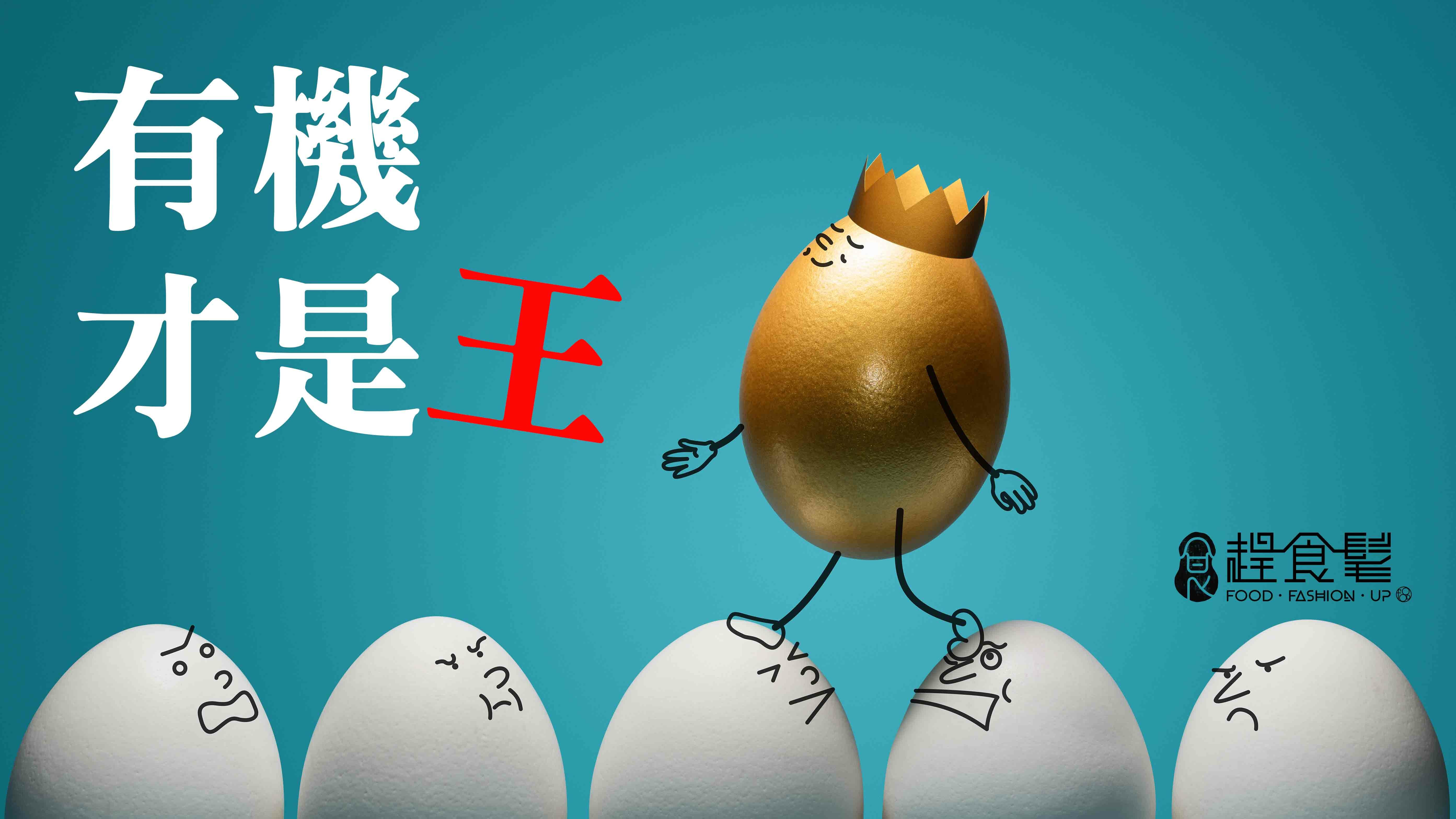 有機才是王_最純淨的有機蛋誕生_趕食髦