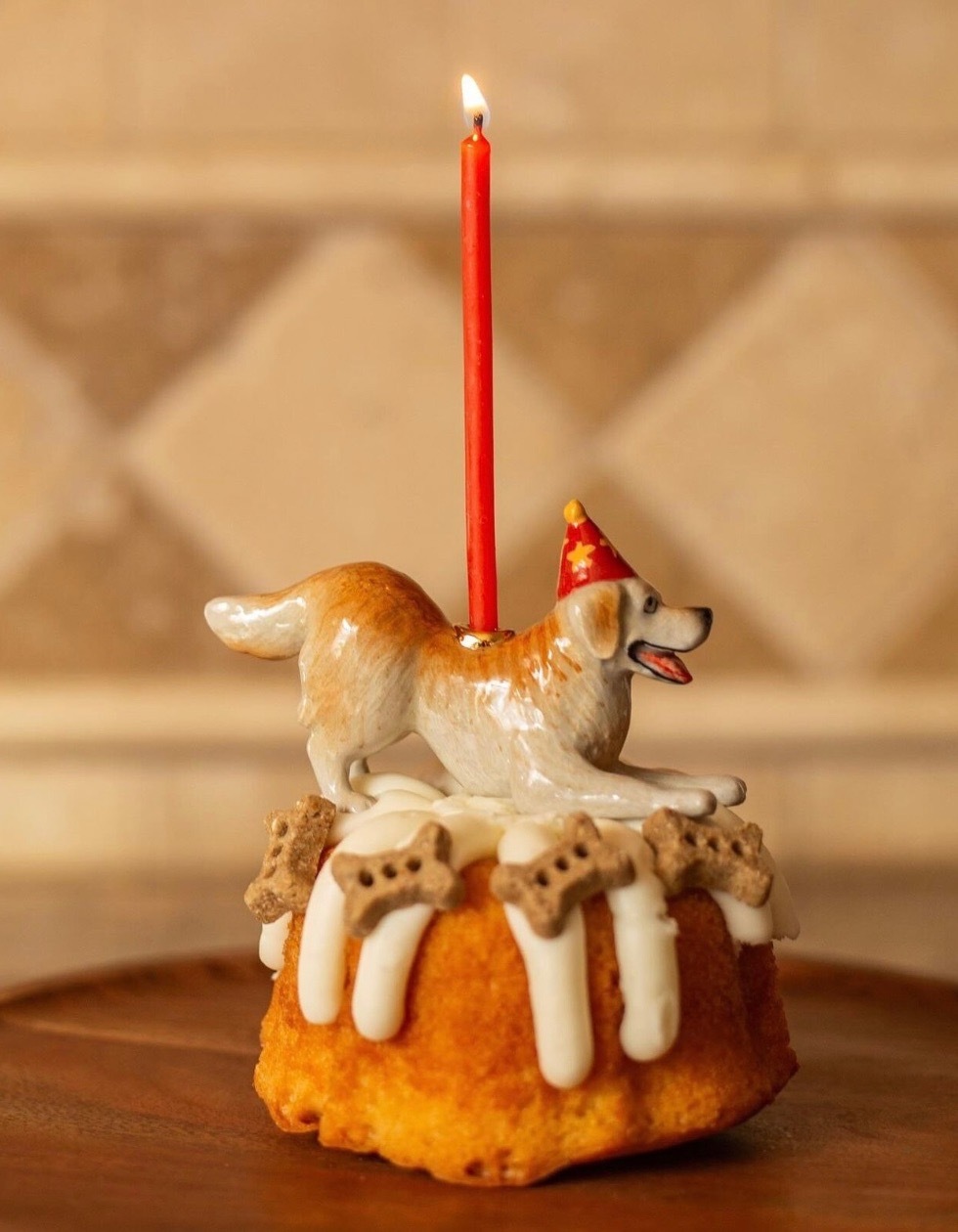 黃金獵犬 Golden Retriever