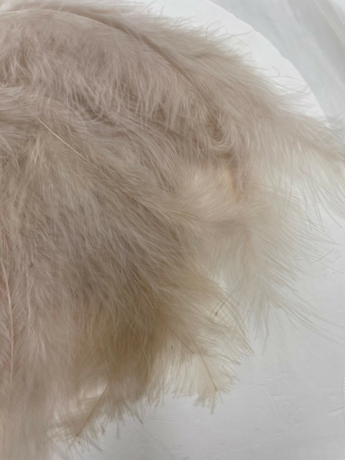 尖尾絨.藕色長約12-18cm約50根入