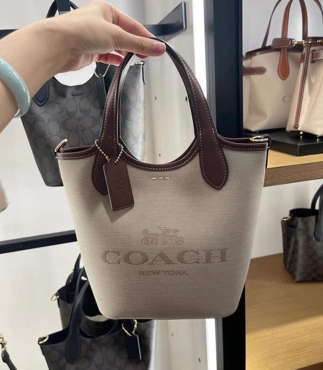 Coach Hanna Bucket菜籃子