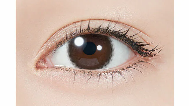 [日拋] Topards 1 Day Baby Espresso 彩妝隱形眼鏡｜每盒10片