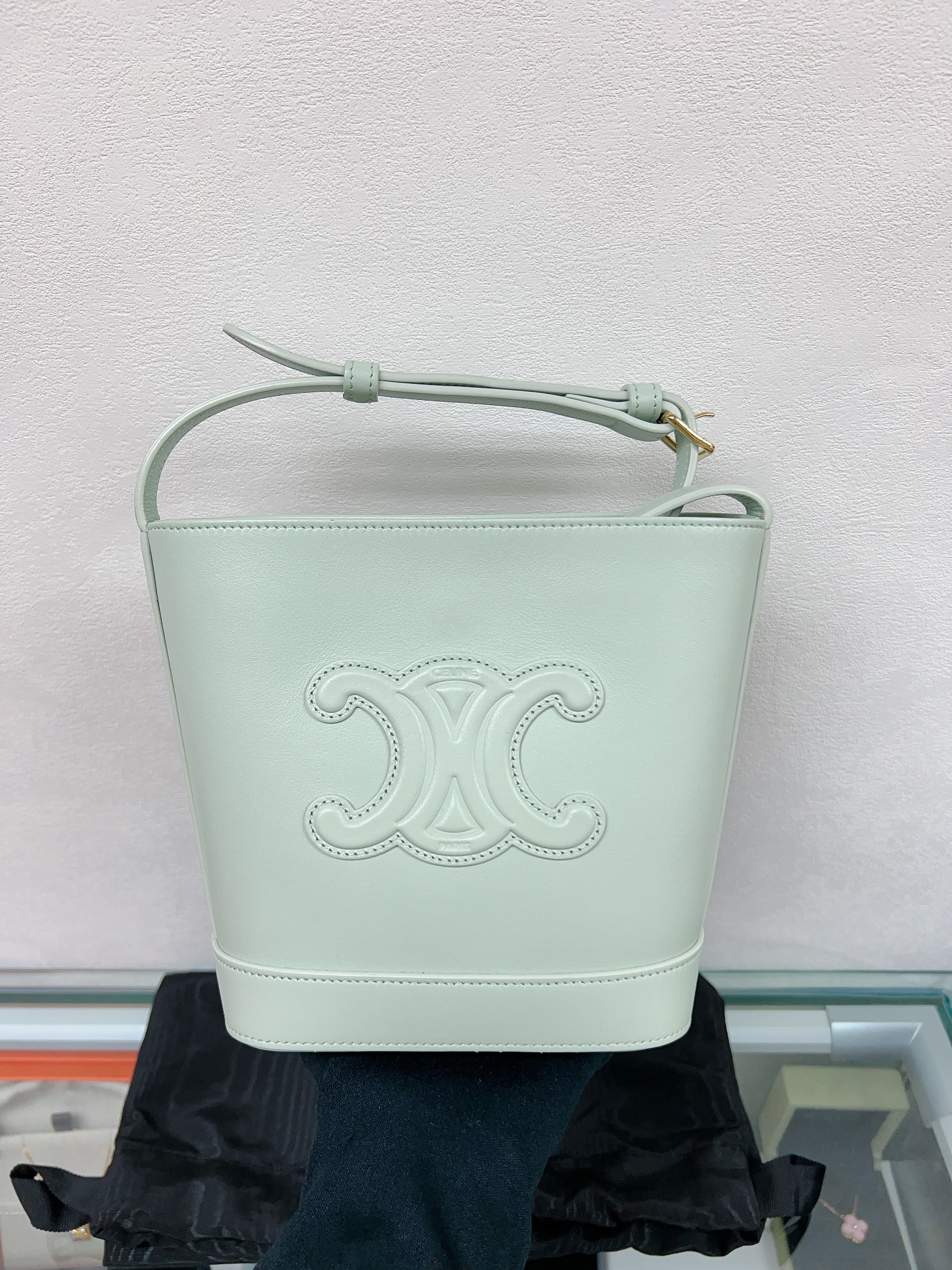 Celine triomphe bucket mini (mint green)