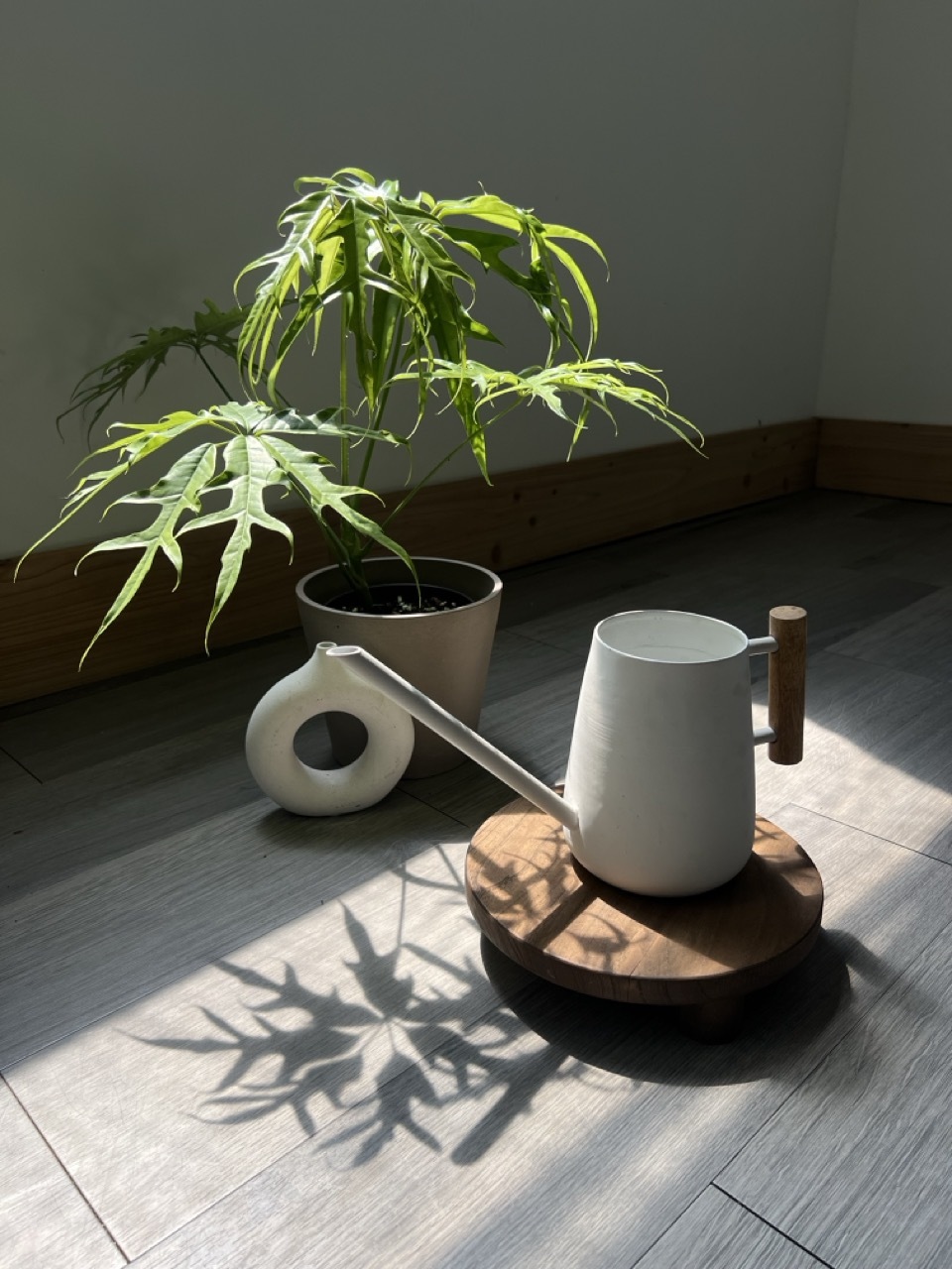 印度手工澆水壺經典黑白雙色