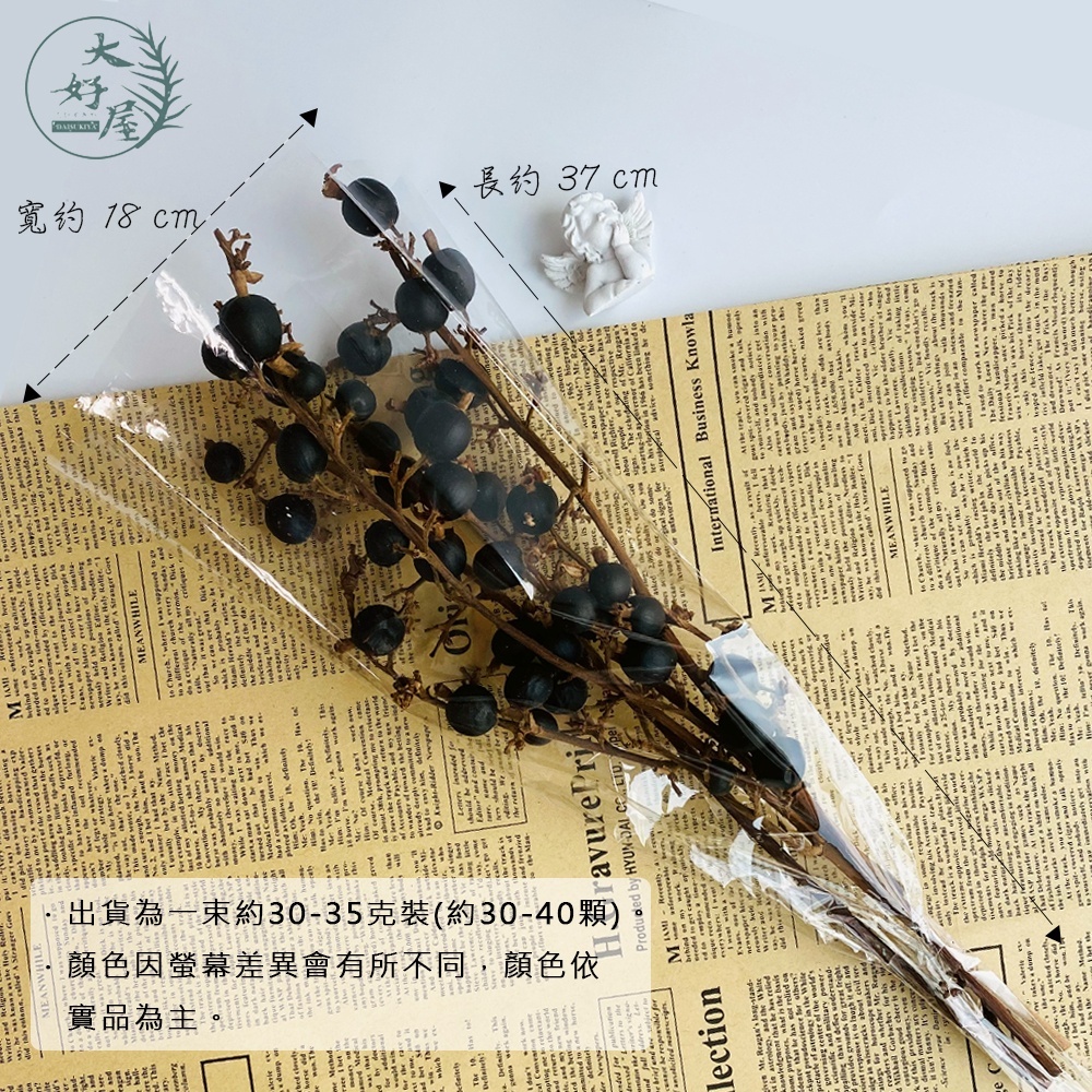 大地農園黑莓果