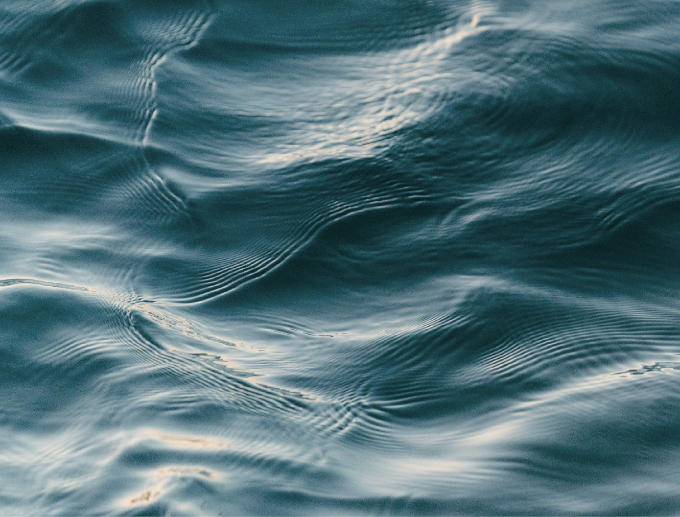 Descriptive Text for Image