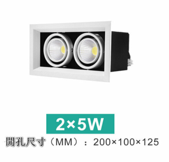 New LED ceiling downlight [2*5W] [white light]