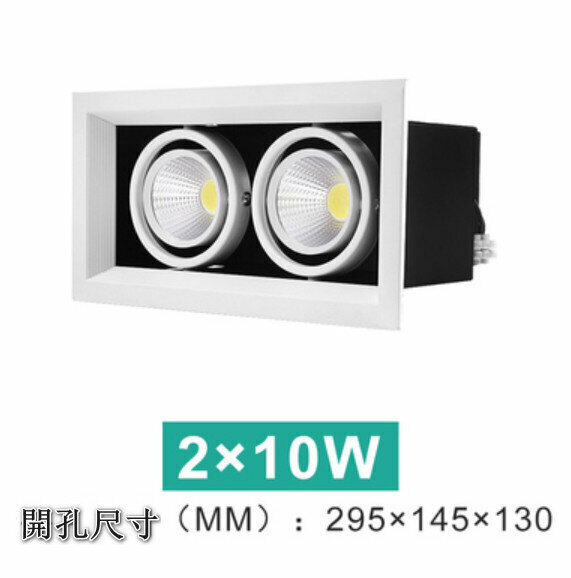 New LED ceiling downlight [2*10W] [white light]